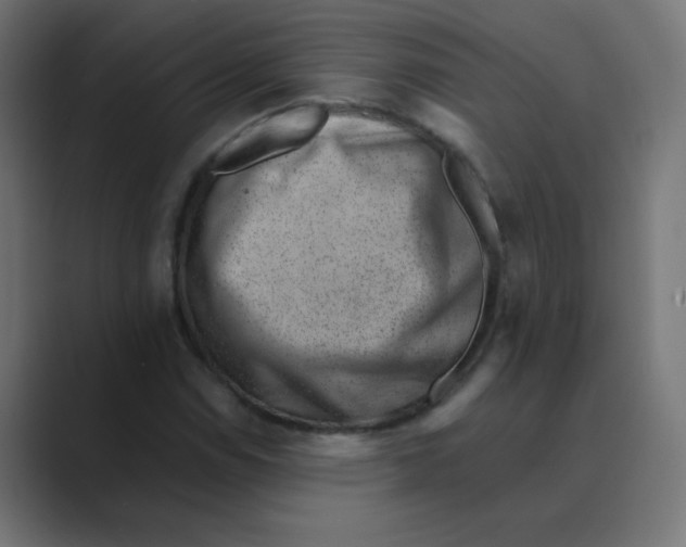 X0000088441114200706191247