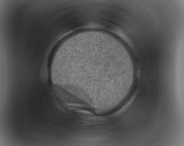 X0000088441117200706191247