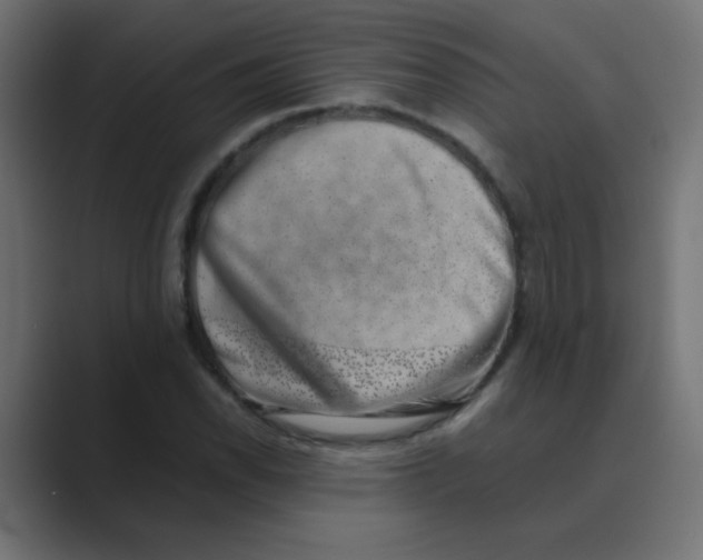 X0000088441118200706191248
