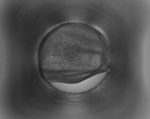 X0000088441120200706191248