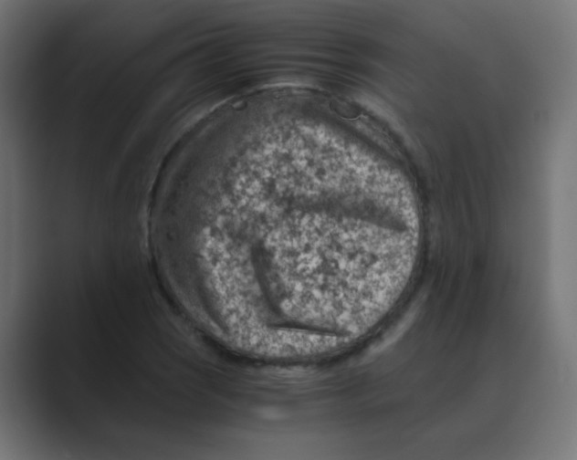 X0000088441121200706191248