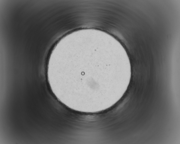 X0000088441122200706191248