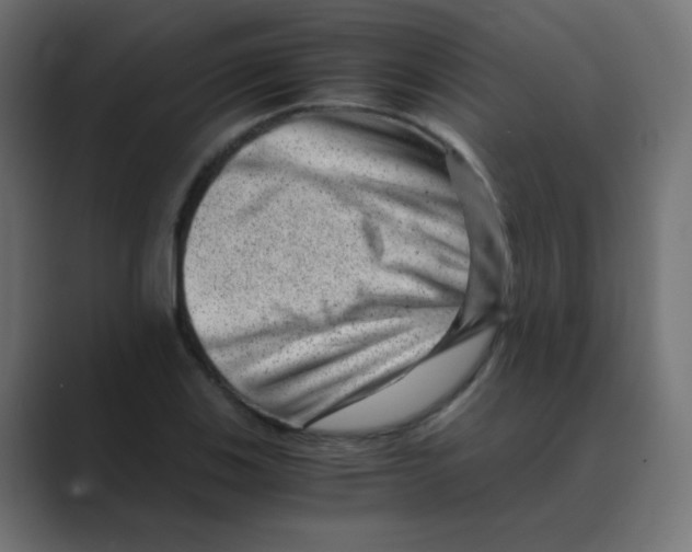 X0000088441123200706191248