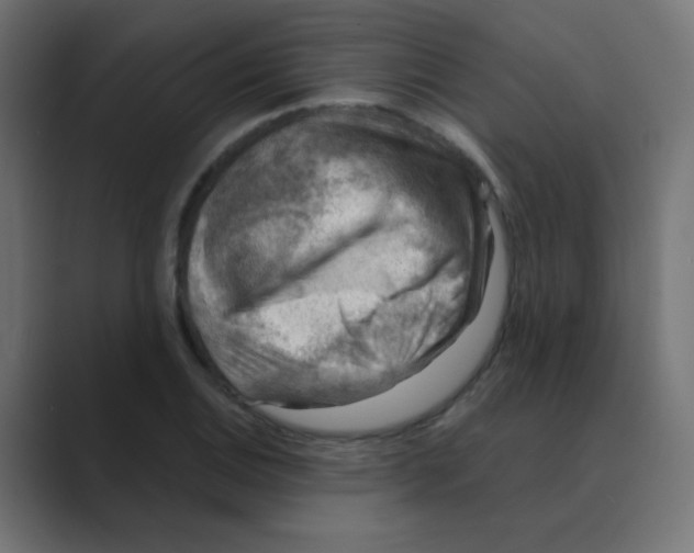X0000088441124200706191248