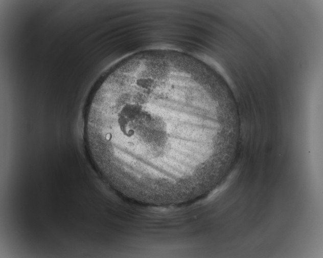 X0000088441125200706191248