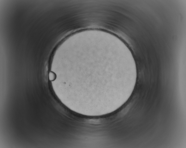 X0000088441126200706191248