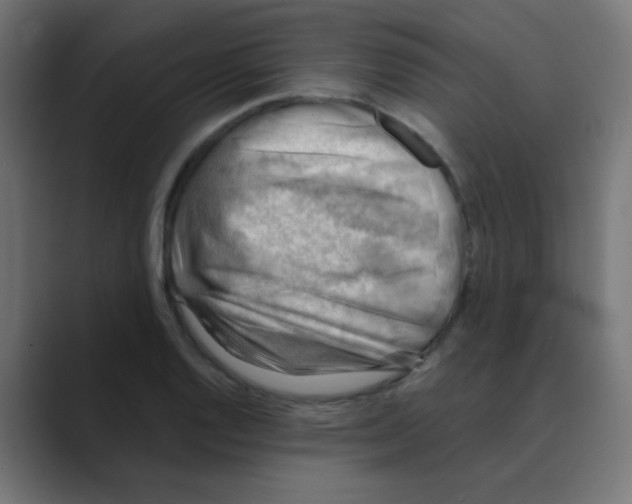 X0000088441128200706191248