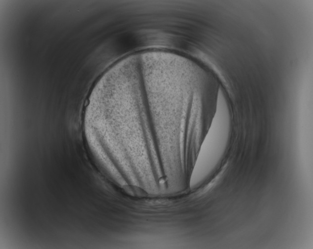 X0000088441129200706191248