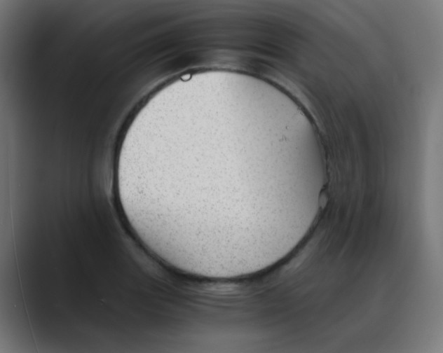 X0000088441131200706191248
