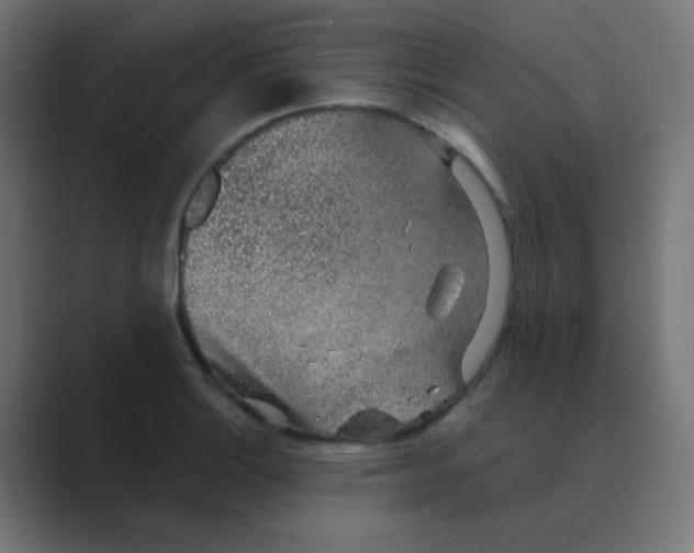 X0000088441132200706191248