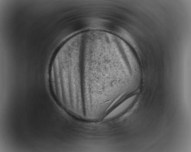 X0000088441133200706191248