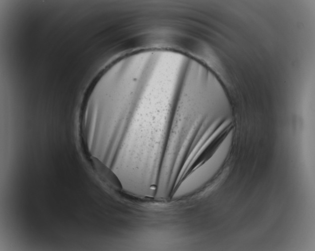 X0000088441134200706191248