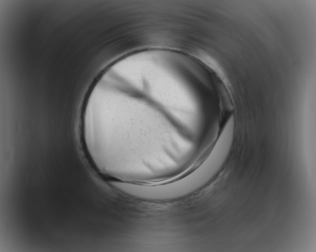 X0000088441136200706191248