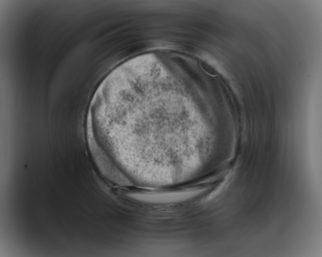 X0000088441137200706191248