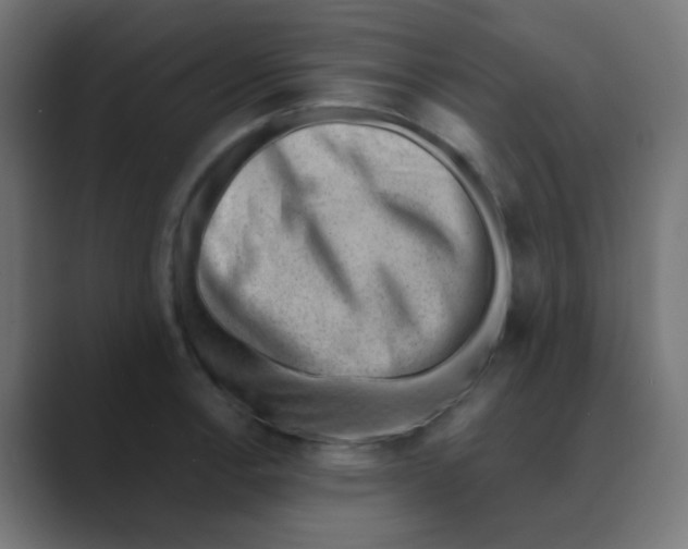 X0000088441138200706191248