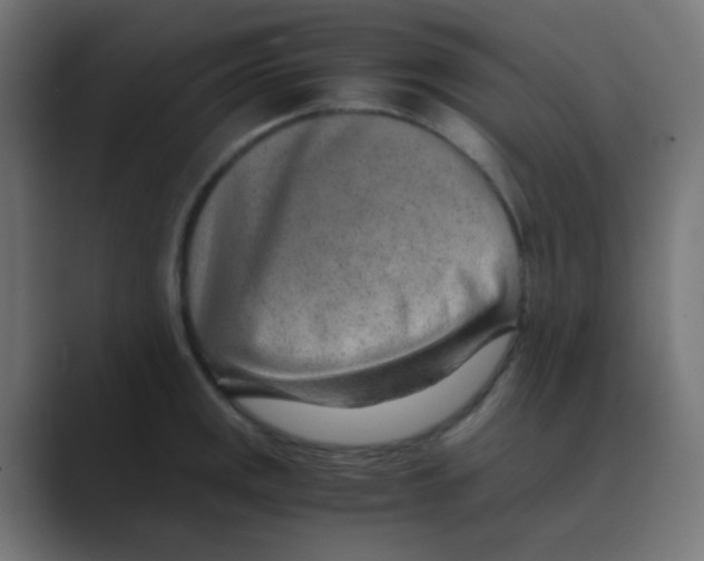 X0000088441141200706191248