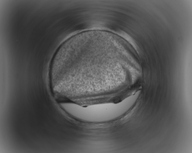 X0000088441142200706191248