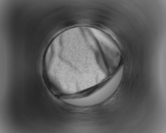 X0000088441143200706191248