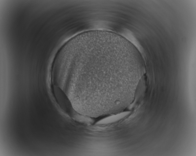 X0000088441144200706191248