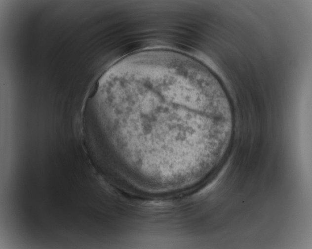 X0000088441145200706191248