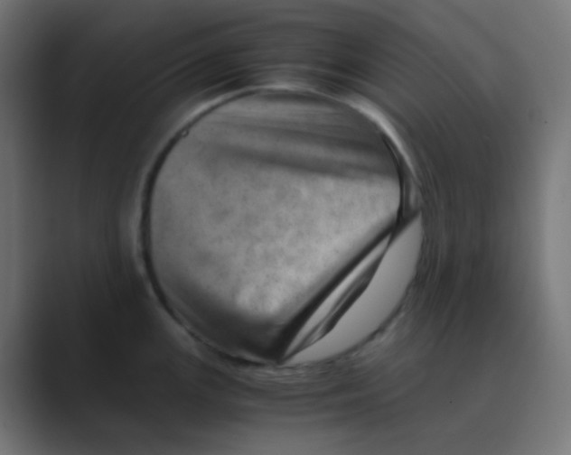 X0000088441147200706191248