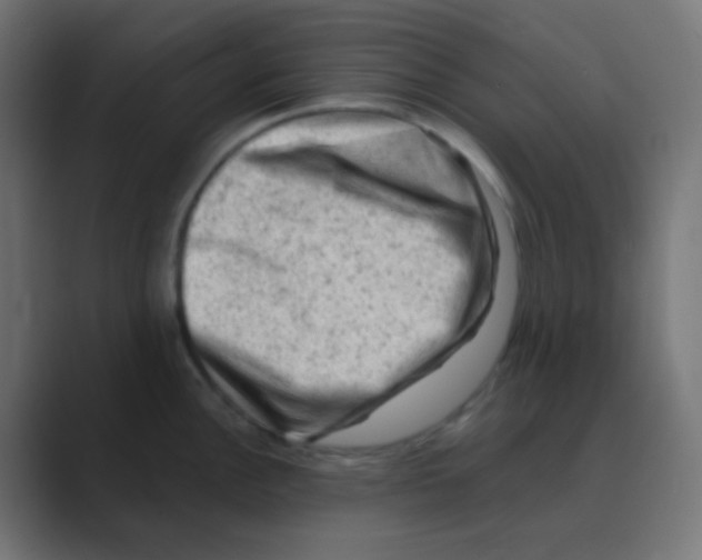 X0000088441148200706191248