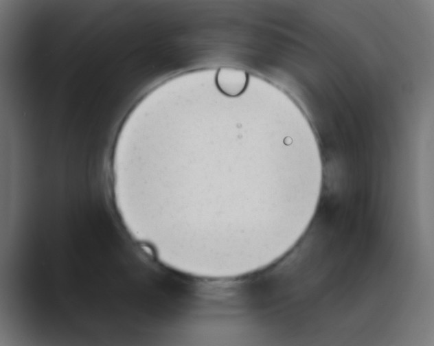 X0000088441150200706191248