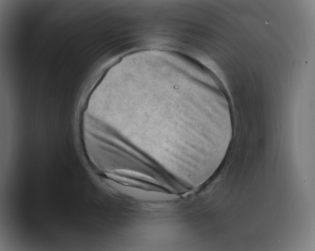 X0000088441152200706191248