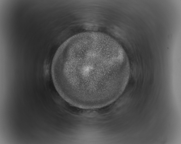 X0000088441154200706191247