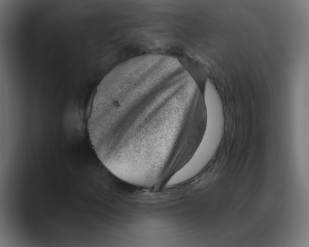 X0000088441156200706191247