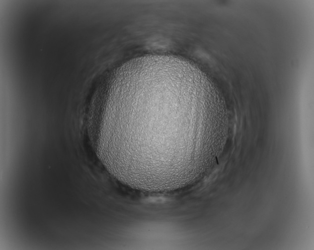 X0000088441157200706191247