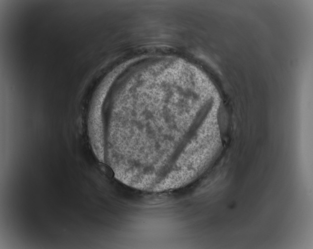 X0000088441159200706191247