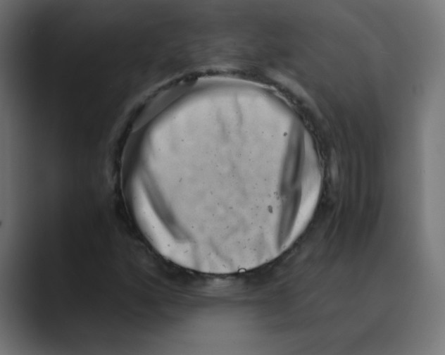 X0000088441160200706191247