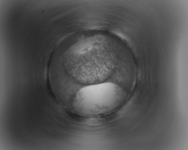X0000088441161200706191247