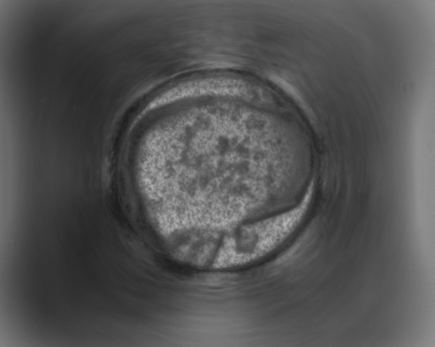 X0000088441163200706191247