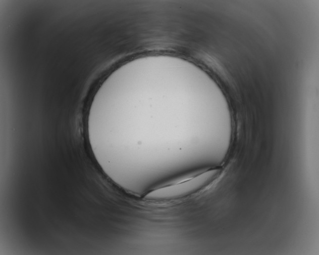 X0000088441164200706191247