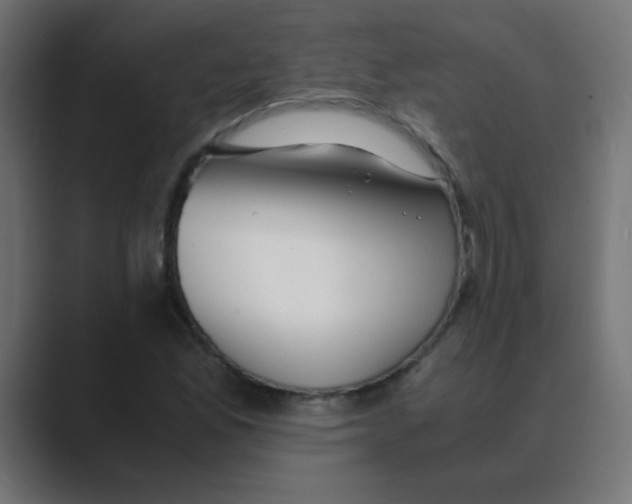 X0000088441165200706191247