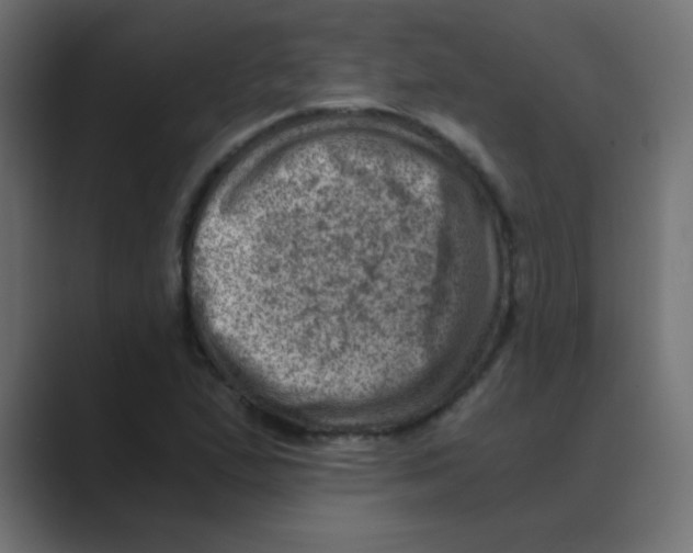 X0000088441167200706191247
