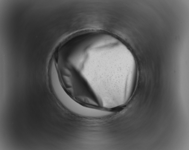 X0000088441168200706191247