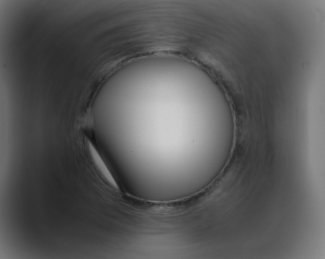 X0000088441169200706191247