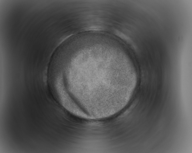 X0000088441170200706191247