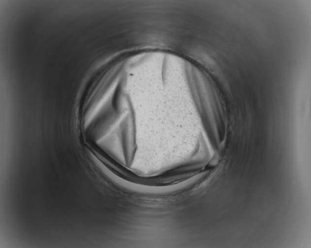 X0000088441172200706191247
