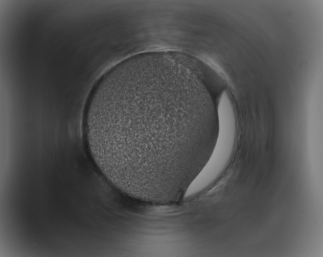 X0000088441173200706191247