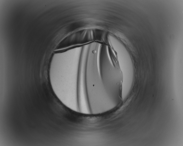 X0000088441177200706191247