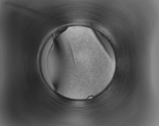 X0000088441180200706191247