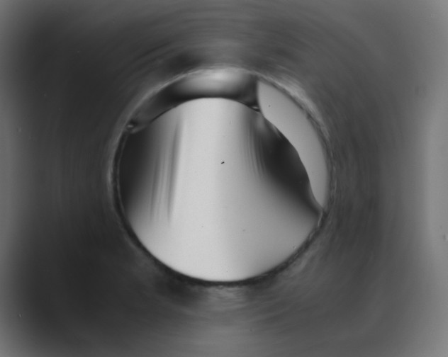 X0000088441181200706191247