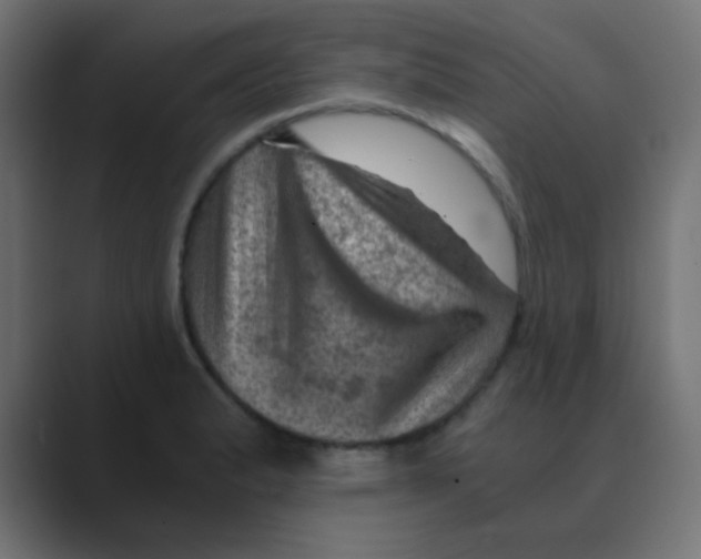 X0000088441183200706191247
