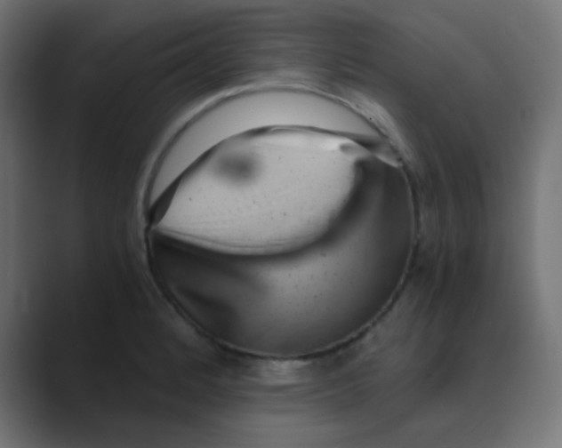 X0000088441184200706191247