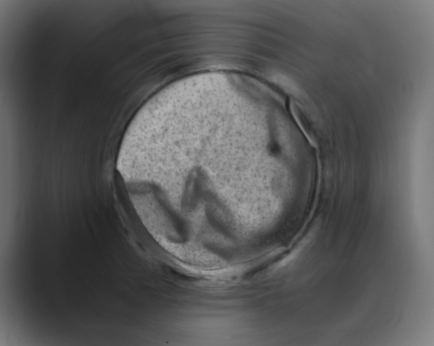 X0000088441185200706191247