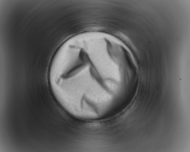 X0000088441186200706191247